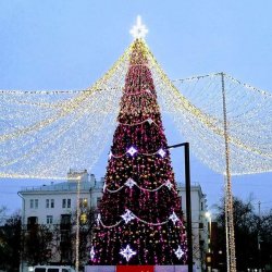 В каком районе города Люберцы самая лучшая новогодняя ёлка