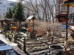 Необычный палисадник возле обычного дома в Люберцах