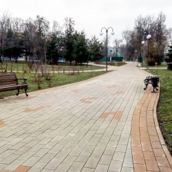 Аномально тёплая зима в Люберцах 2020 продолжается