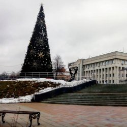 Аномально тёплая зима в Люберцах 2020 продолжается