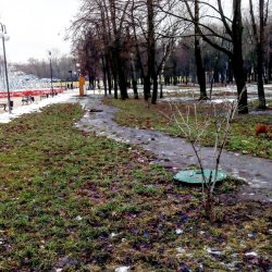 Аномально тёплая зима в Люберцах 2020 продолжается
