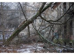 Заброшенный детский сад в Люберцах Заброшенный детский сад в Люберцах