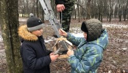 Жителей Люберец просят подкармливать птиц зимой