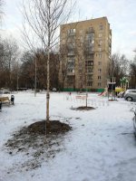 Первое декабря, снег, озеленение мкрн. Красная горка