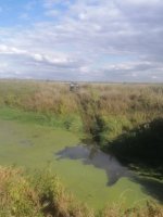 ДТП на Клишевской пойме в Раменском