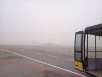 Утром из-за тумана отменяли рейсы в аэропортах