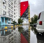 Новый мурал в Подмосковье