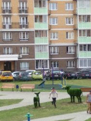Двое выходцев из Азии избили мужчину возле подъезда в мкр. Самолет Двое выходцев из Азии избили мужчину возле подъезда в мкр. Самолет
