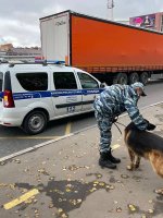 Подольский Хатико
