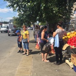 Незаконная торговля у дороги в Люберцах