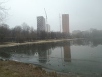 Что случилось с Наташинскими прудами?