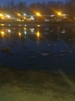 Что случилось с Наташинскими прудами?