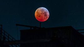 krovavaya-luna.jpg